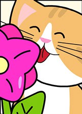 Jasper Mini Edicion 1